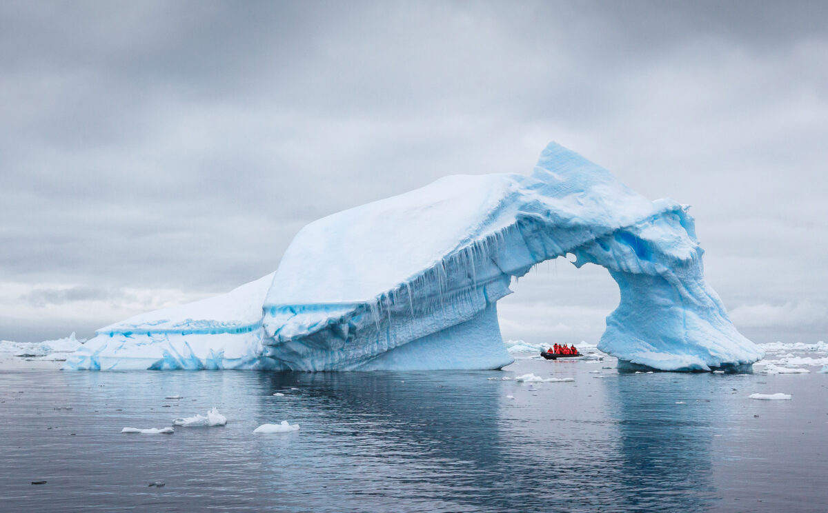 Viking Antarctica Cruises Curlew Travel