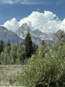 Grand Tetons